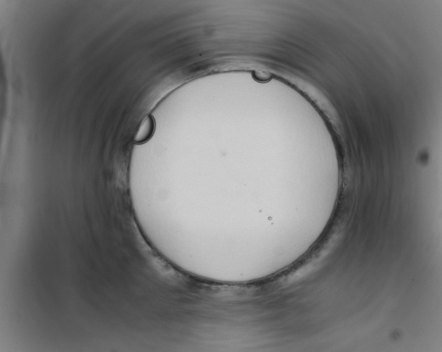 X0000100400905200807032010