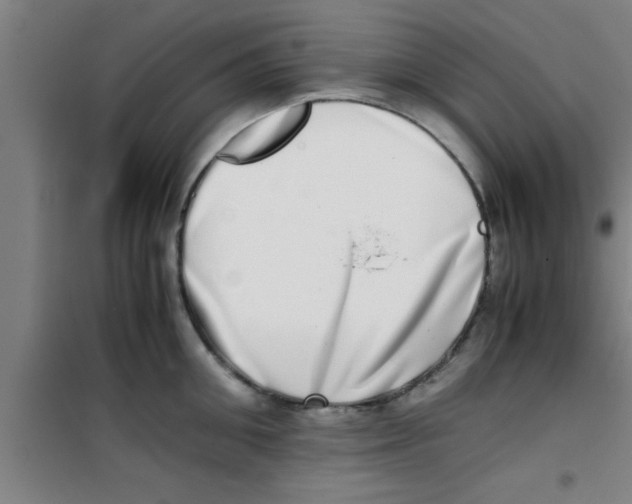 X0000100400906200807032010