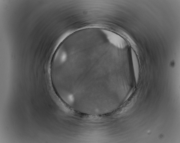X0000100400907200807032010