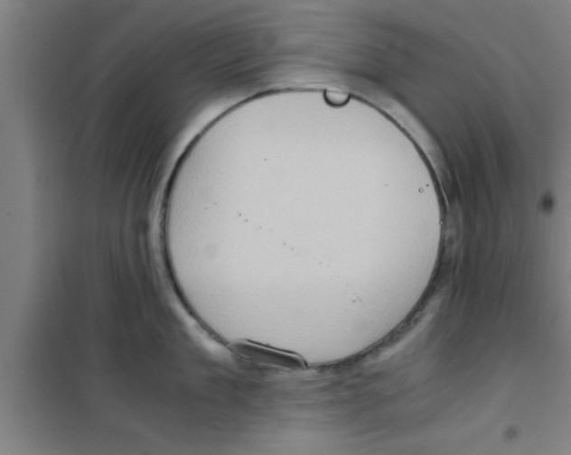 X0000100400909200807032010