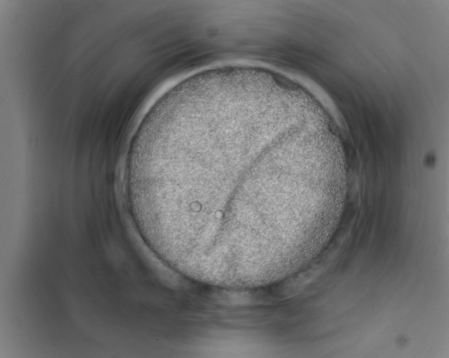 X0000100400911200807032010