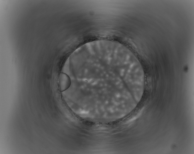 X0000100400913200807032009