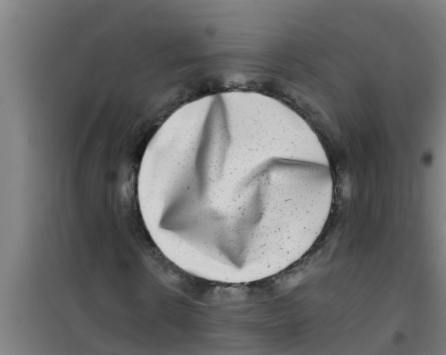 X0000100400914200807032010