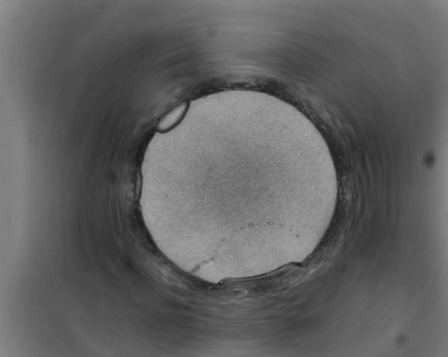 X0000100400916200807032010