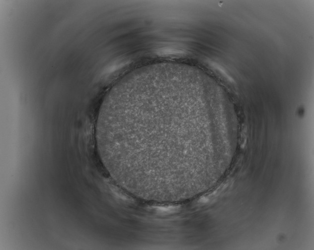 X0000100400917200807032010