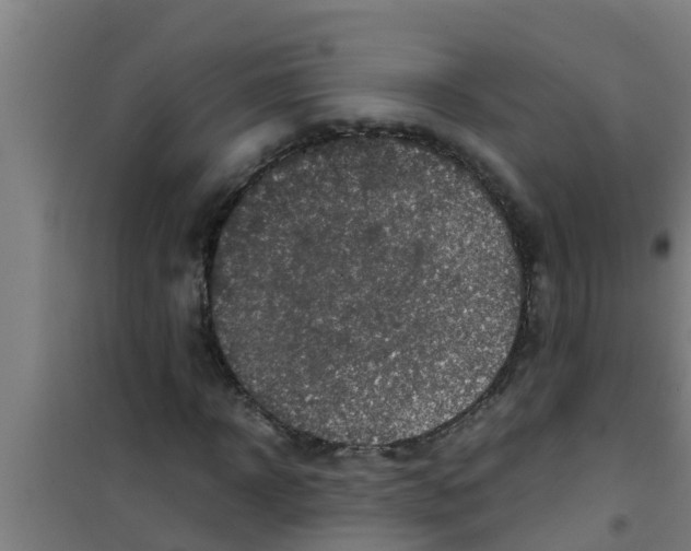 X0000100400918200807032010