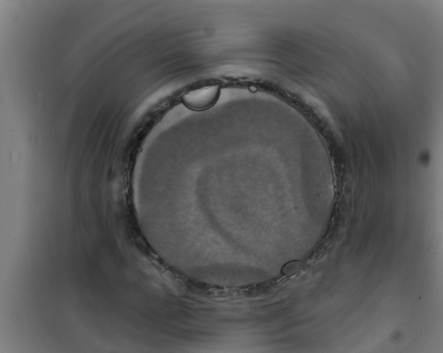 X0000100400920200807032010