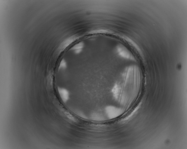 X0000100400921200807032010