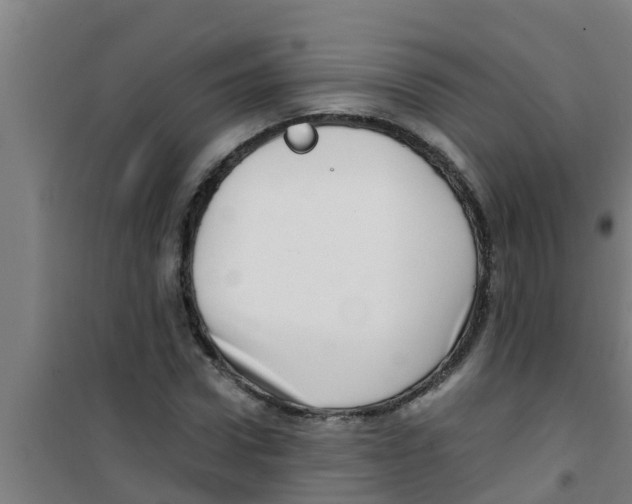 X0000100400922200807032010