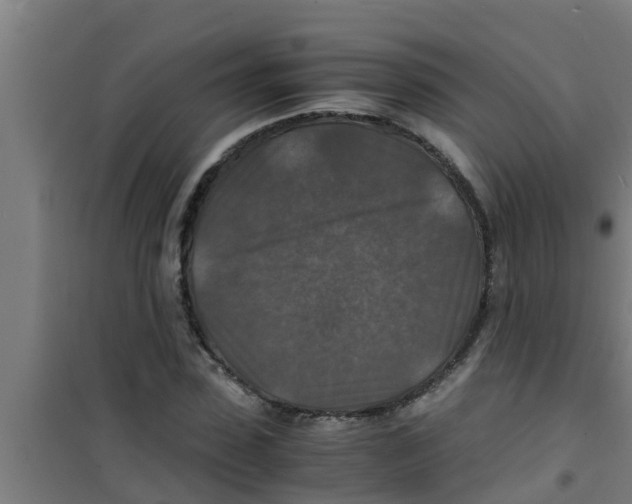 X0000100400923200807032010