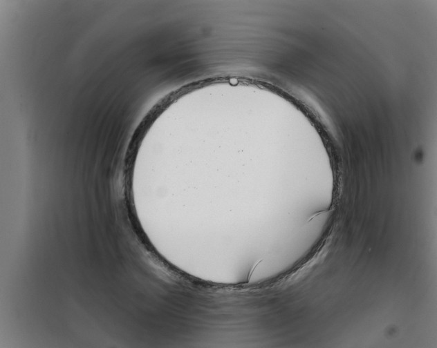 X0000100400924200807032010
