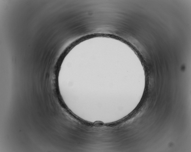 X0000100400926200807032010