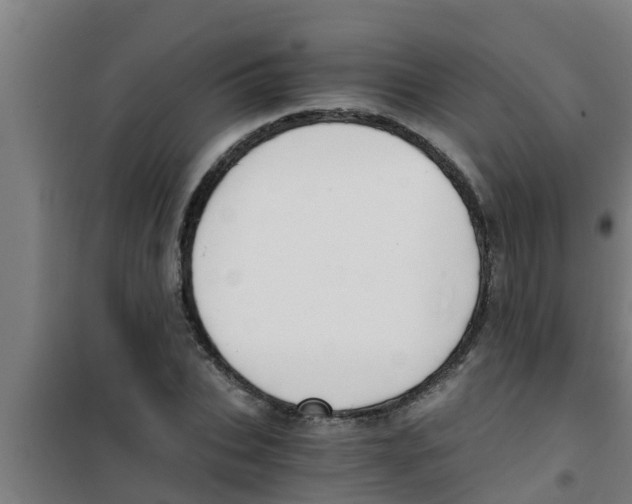 X0000100400927200807032010