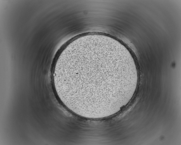 X0000100400928200807032010