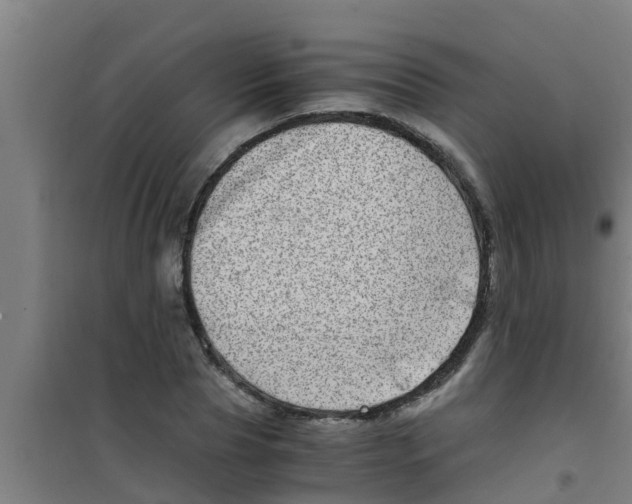 X0000100400929200807032010