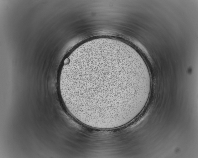 X0000100400930200807032010