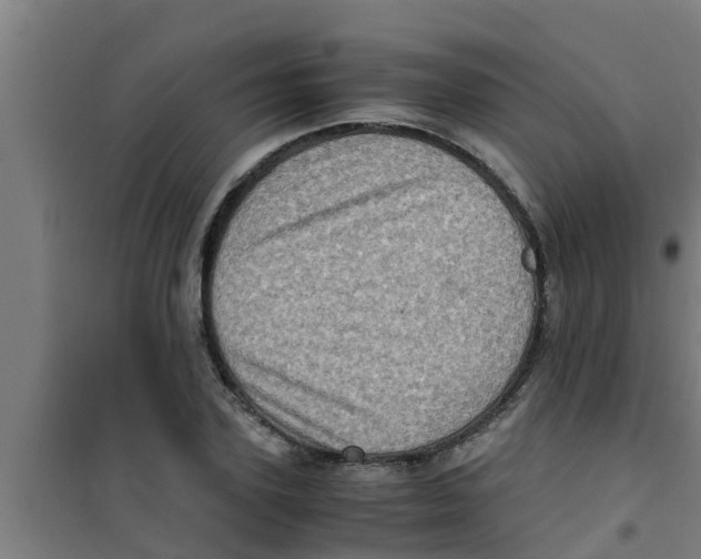 X0000100400931200807032010