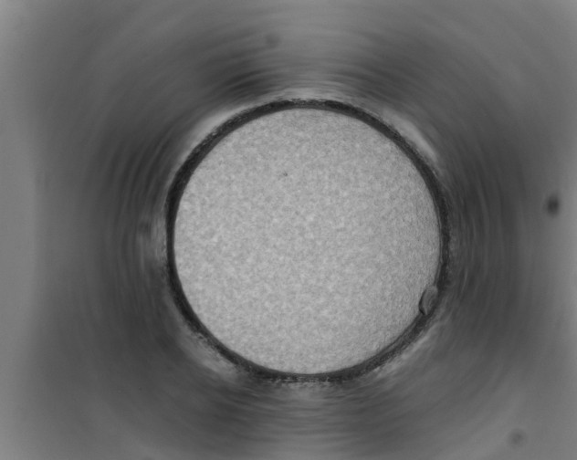 X0000100400934200807032010