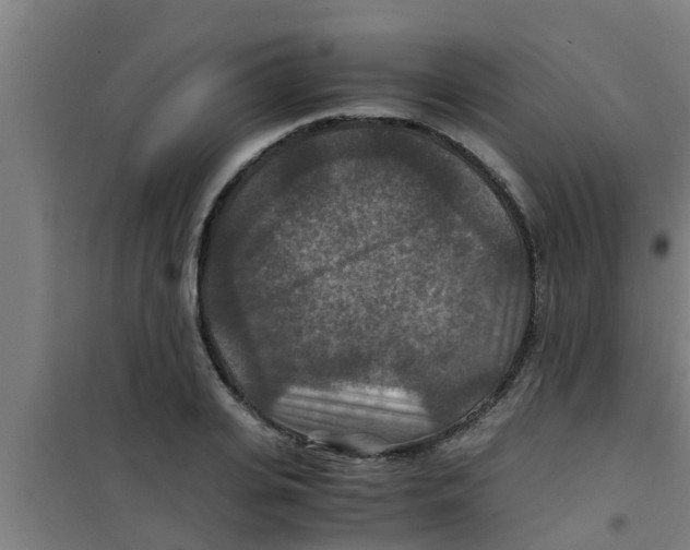 X0000100400935200807032010