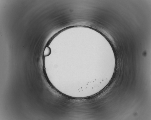 X0000100400936200807032010