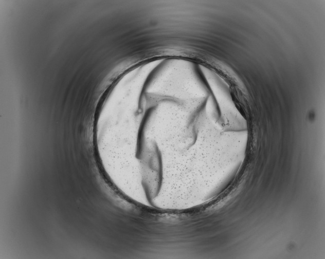 X0000100400938200807032010