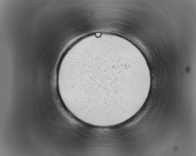 X0000100400940200807032010