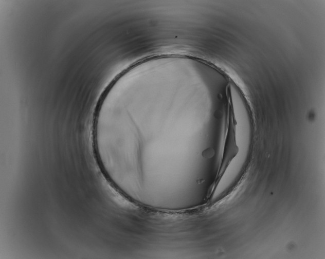 X0000100400941200807032010