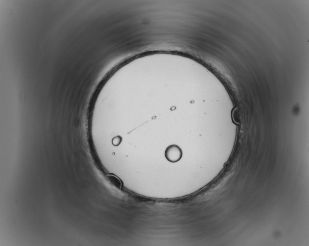 X0000100400942200807032010