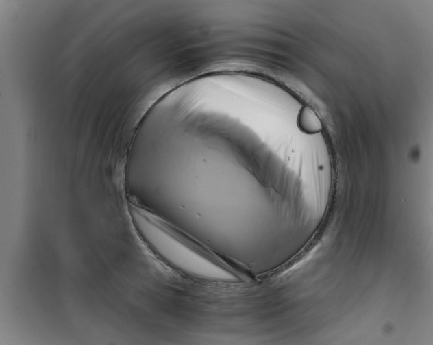 X0000100400945200807032010