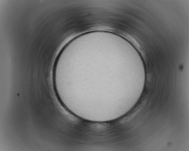 X0000100400947200807032010