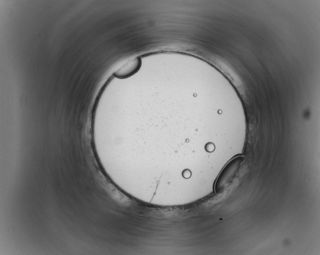 X0000100400948200807032010