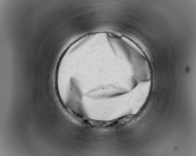 X0000100400949200807032010