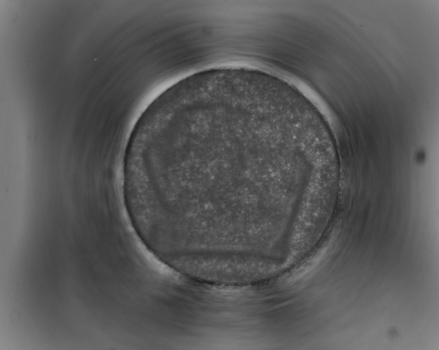 X0000100400951200807032010