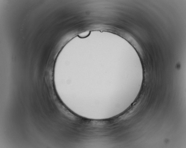 X0000100400954200807032010