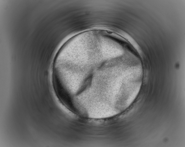 X0000100400955200807032010