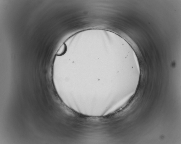 X0000100400956200807032010