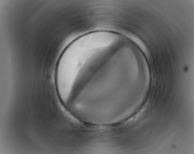 X0000100400958200807032010