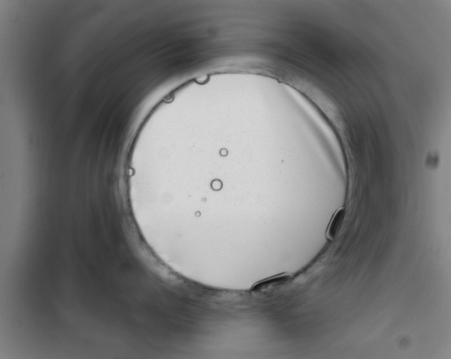 X0000100400960200807032010