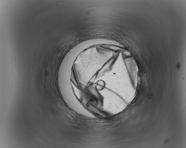 X0000100400961200807032009