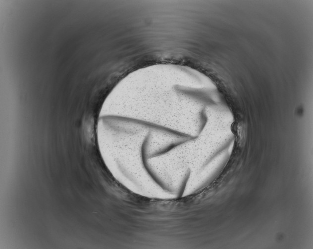 X0000100400963200807032009