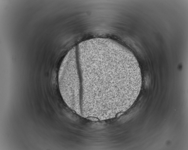 X0000100400964200807032009