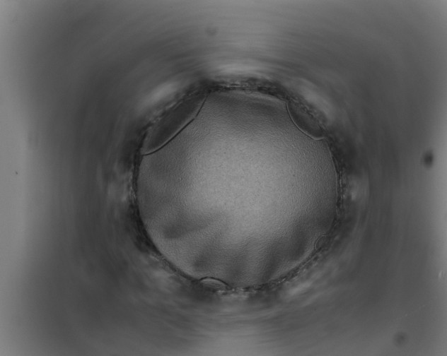 X0000100400965200807032009