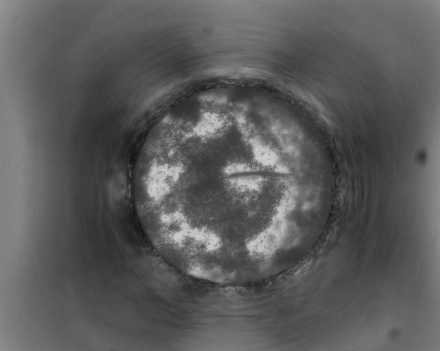 X0000100400966200807032009