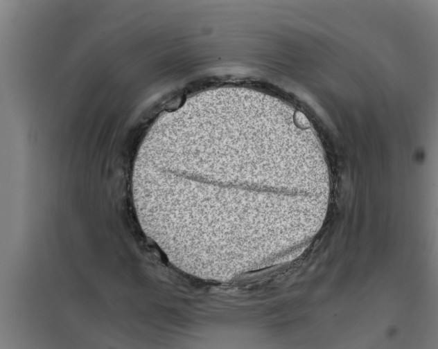 X0000100400967200807032009