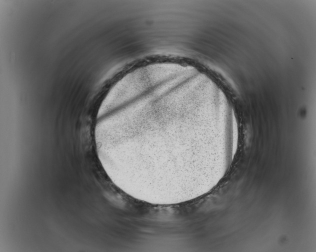 X0000100400968200807032009