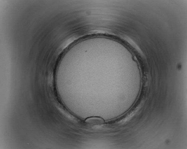 X0000100400969200807032009