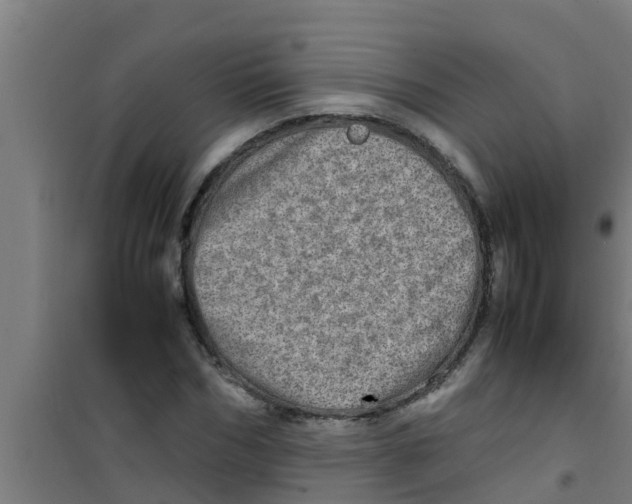 X0000100400970200807032009