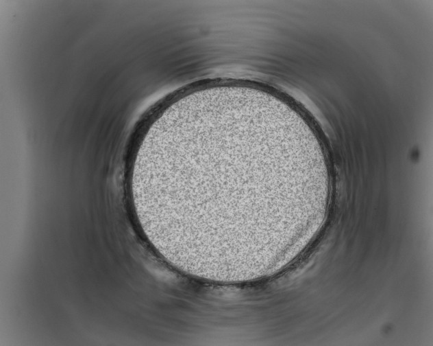 X0000100400971200807032009