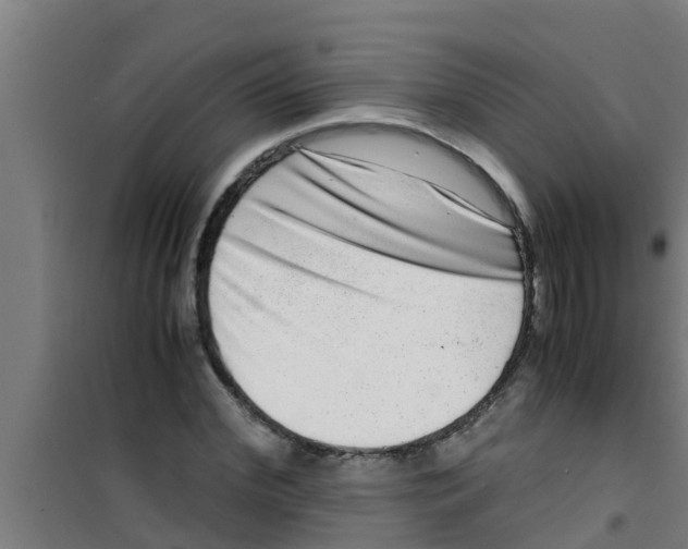 X0000100400972200807032009