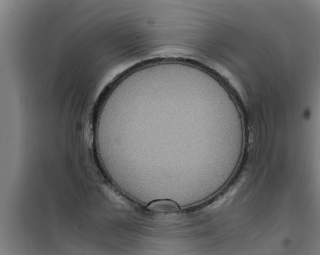 X0000100400973200807032009